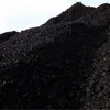 petromindo.com