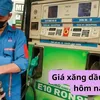 news.laodong.vn