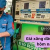 news.laodong.vn