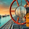 discoveryalert.com