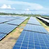 newindianexpress.com