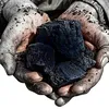 newindianexpress.com