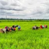 telanganatoday.com