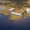 reneweconomy.com.au