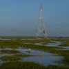 news4jax.com