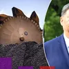 au.finance.yahoo.com