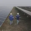 solarquarter.com