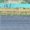 timesofindia.indiatimes.com