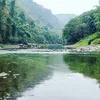 timesofindia.indiatimes.com