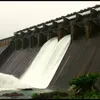 timesofindia.indiatimes.com