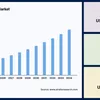 straitsresearch.com