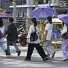 thehindu.com
