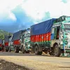 thehindu.com