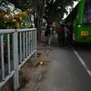 thehindu.com
