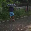thehindu.com