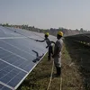 thehindu.com