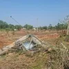 thehindu.com