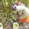 thehindu.com