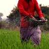 thehindu.com