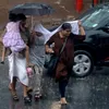 thehindu.com