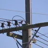 1news.co.nz
