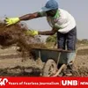 unb.com.bd