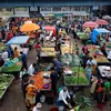 urbanacres.in