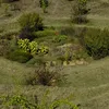 urbanacres.in
