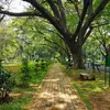 urbanacres.in