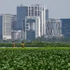 urbanacres.in