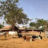 urbanacres.in