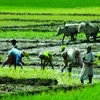 urbanacres.in