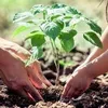 urbanacres.in