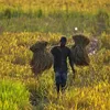 urbanacres.in