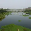 urbanacres.in