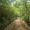 urbanacres.in