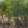 urbanacres.in