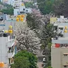 urbanacres.in