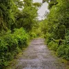 urbanacres.in