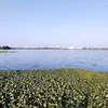 urbanacres.in