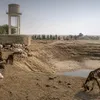 urbanacres.in