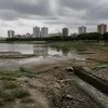 urbanacres.in