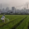 urbanacres.in