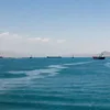 agenzianova.com