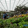 bernama.com