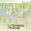 Chem Analyst