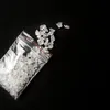 dutchnews.nl