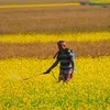 global-agriculture.com