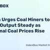 indexbox.io