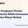 indexbox.io